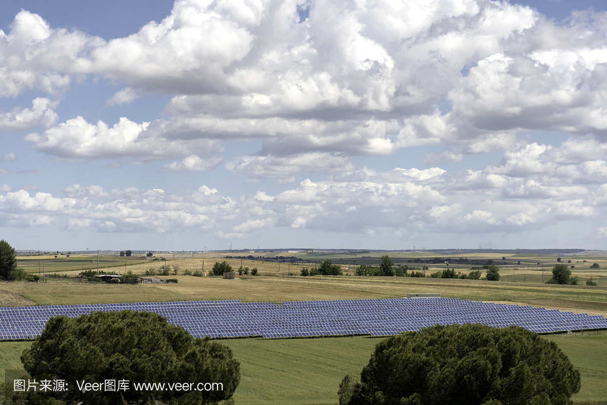 農村地區的太陽能電池板農場